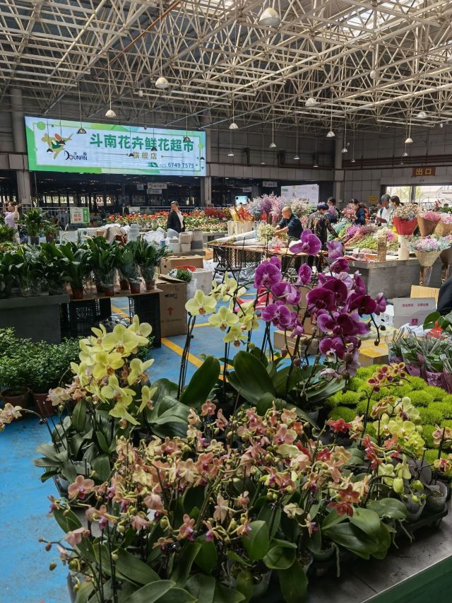 云南旅游攻略昆明旅游攻略,云南昆明旅游攻略