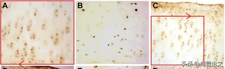 诸暨市人民医院问题论文,诸暨人民医院和江东分院