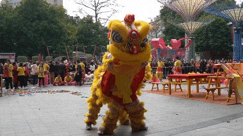 徒步大会、烟花秀、三转文塔…三水区闹元宵活动攻略→