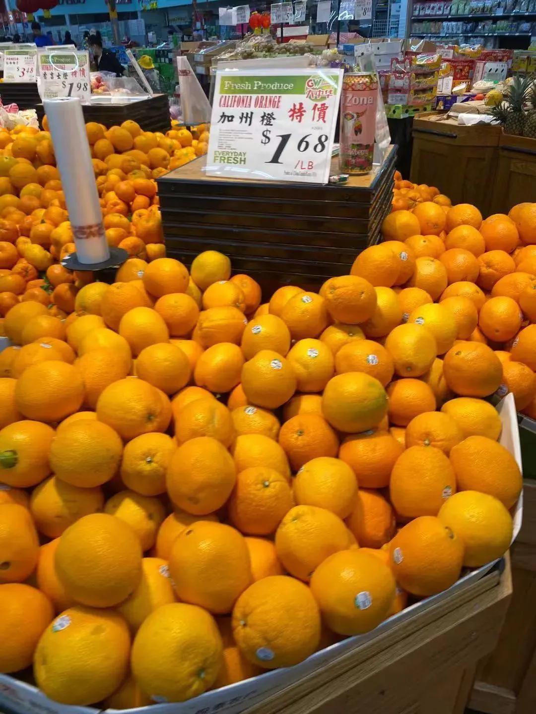 美国之旅国语,《美国之旅》