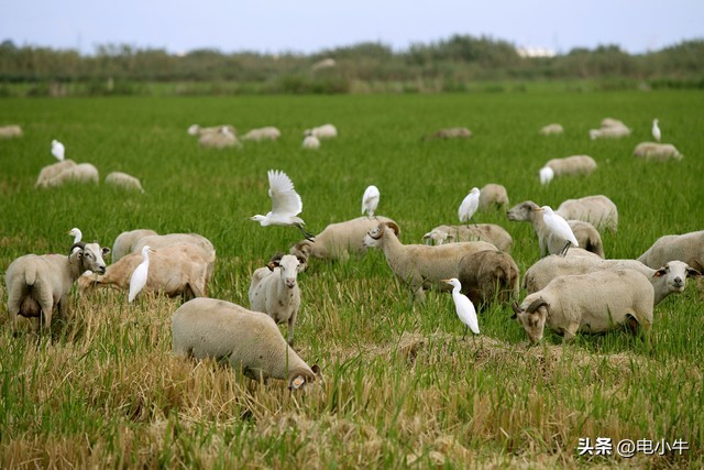 充电宝借给陌生人充电有风险吗,充电宝借给陌生人会被盗取数据吗