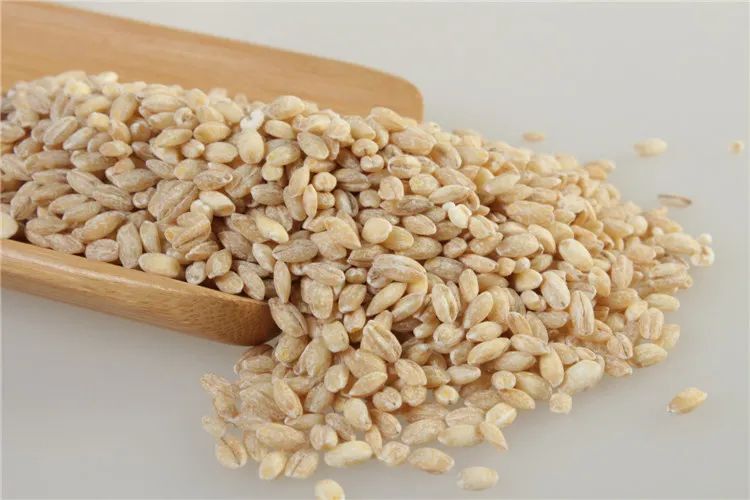 五谷杂粮有多少种豆类,五谷杂粮都有哪些豆类