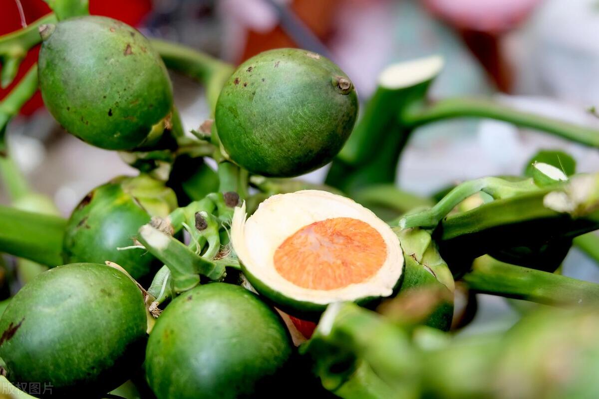 世界四大让你上瘾的东西,最令人上瘾的东西排行