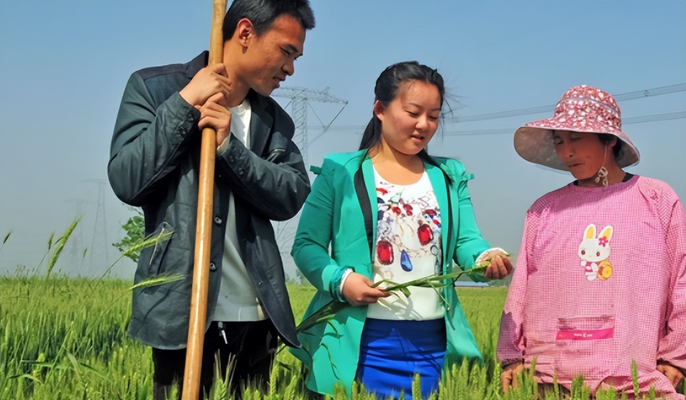 这几个铁饭碗看起来板正，实则是“临时工”，大学生要擦亮眼睛