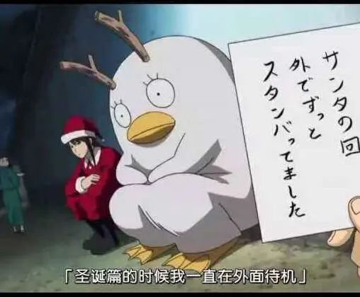 推书君最近书单,推书君推文