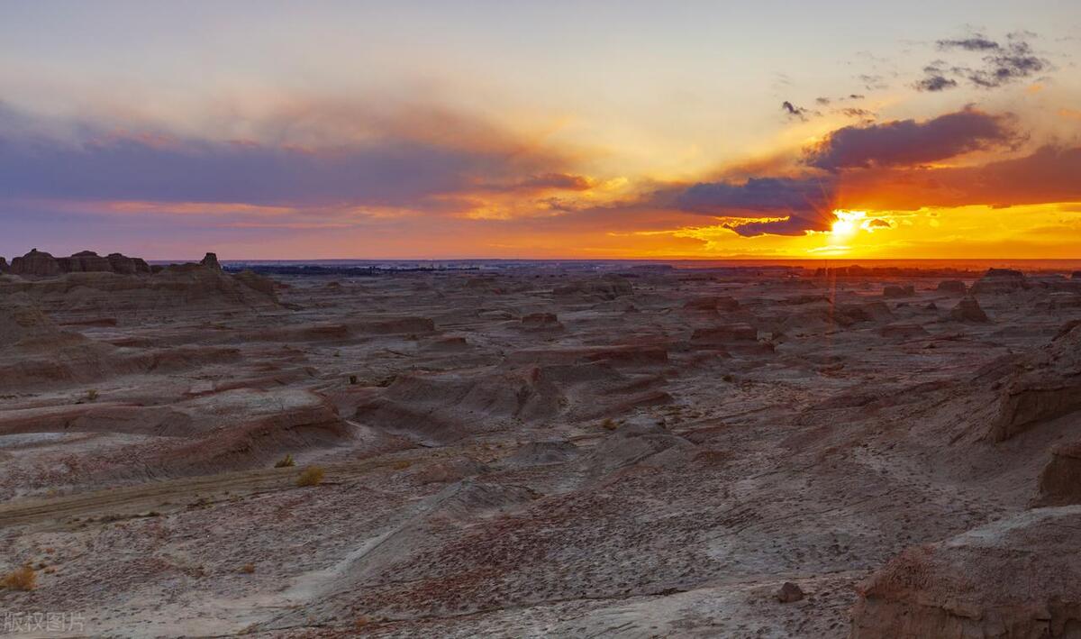 新疆玉石石头在哪捡,新疆的玉石哪里可以免费捡