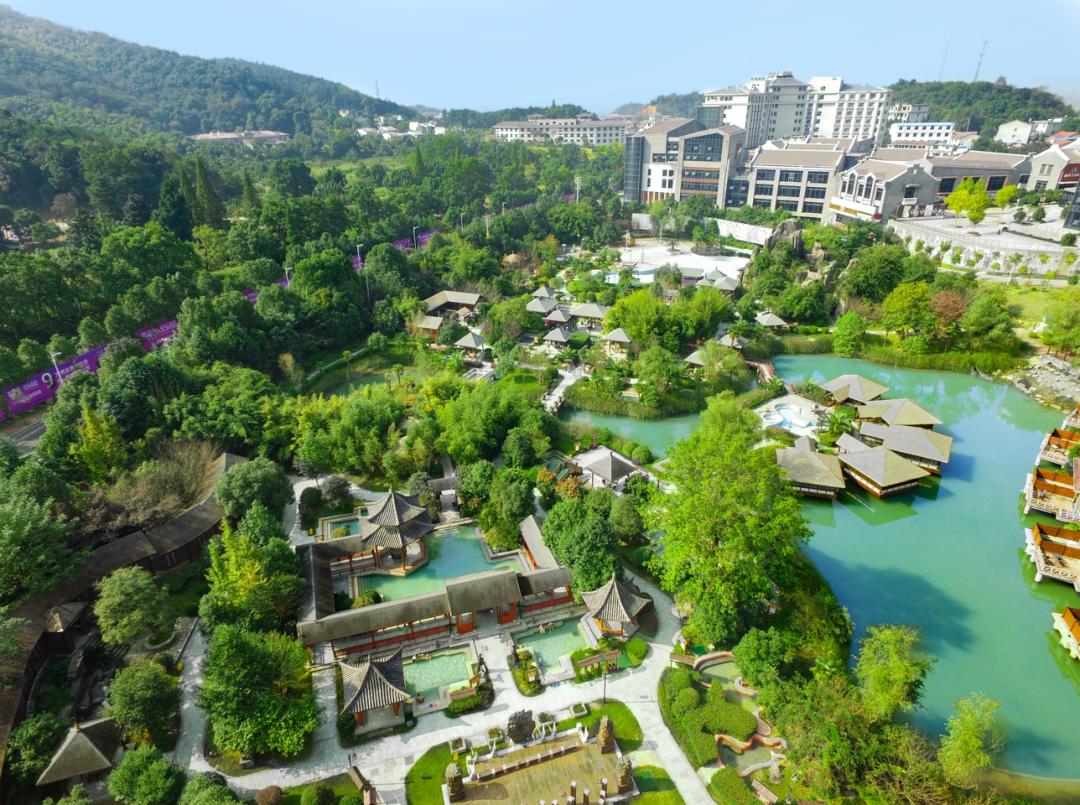 到咸宁看国宝过大年,离家45年的国宝回湖北咸宁过年