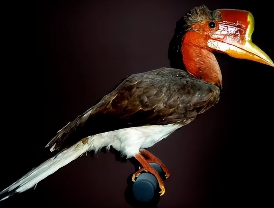 买饰品后被判刑,昆明一女子购买吊坠被判十年