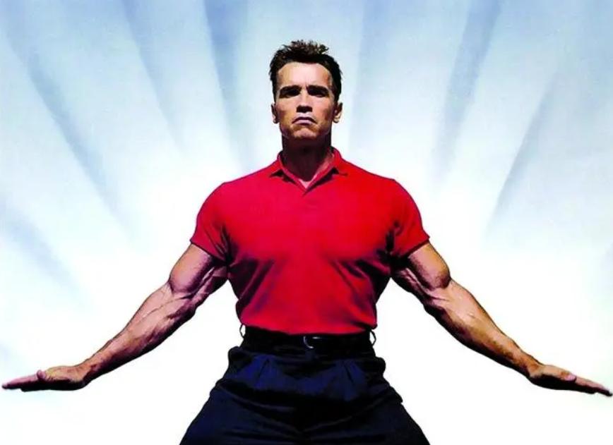 硬汉施瓦辛格原版,施瓦辛格硬汉完整版