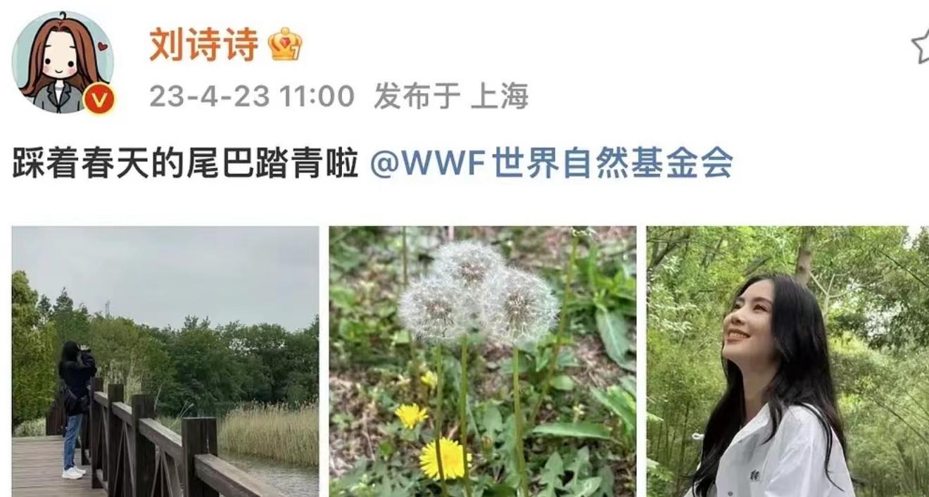 刘诗诗出席活动休闲运动穿搭,刘诗诗一袭粉裙优雅精致