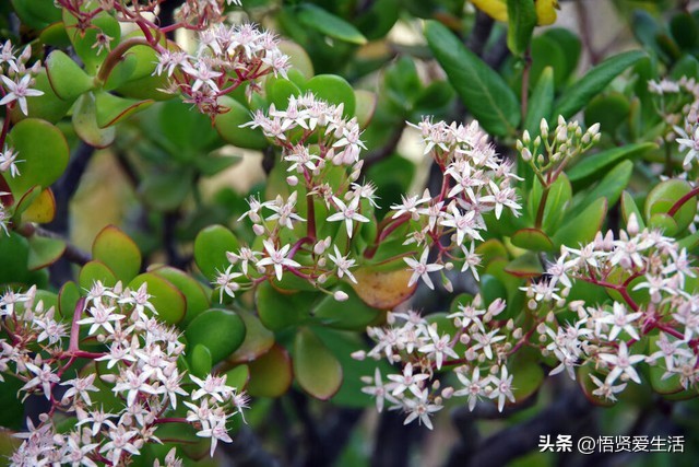 打破一切迷信,打破躲春封建迷信