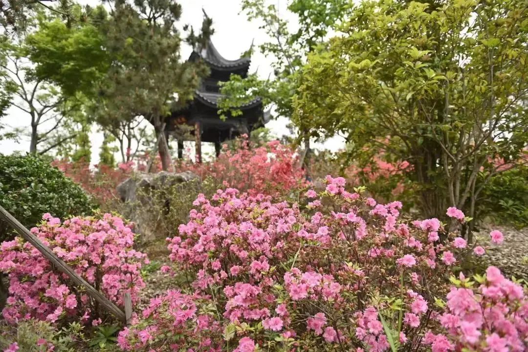 五一的常州,常州的五一