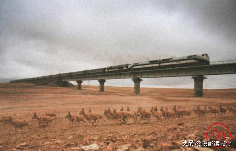 不是ps胜似ps的26张神奇照片,不是ps胜似ps的25张神奇照片