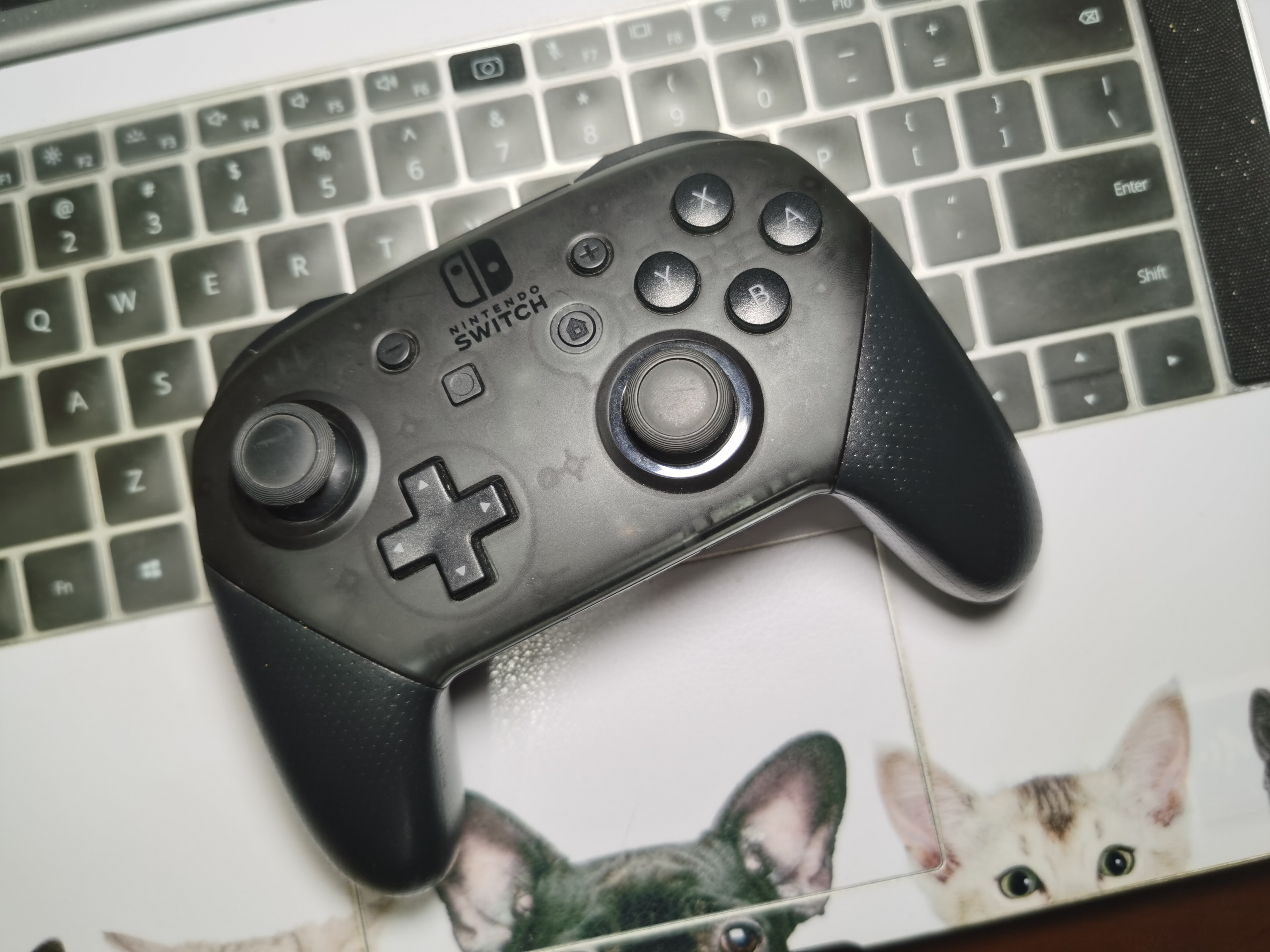 switchpro手柄一键连发功能,switchpro手柄有没有连发功能