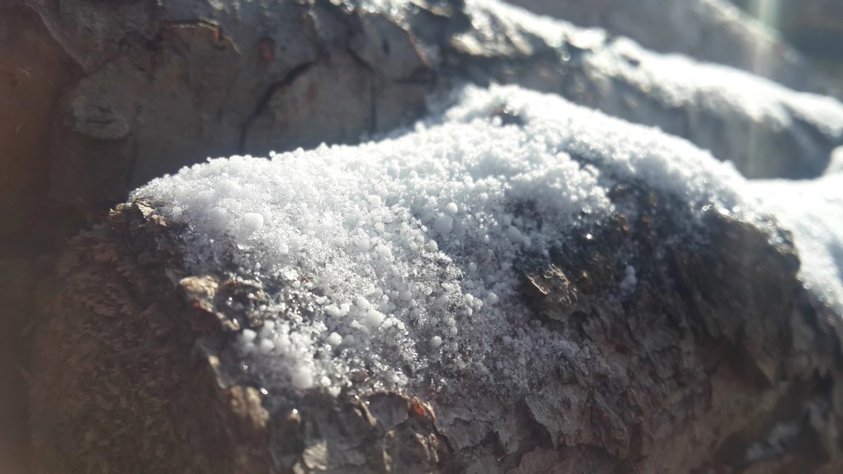 金秋时节登山视频,金秋登太行免费完整版