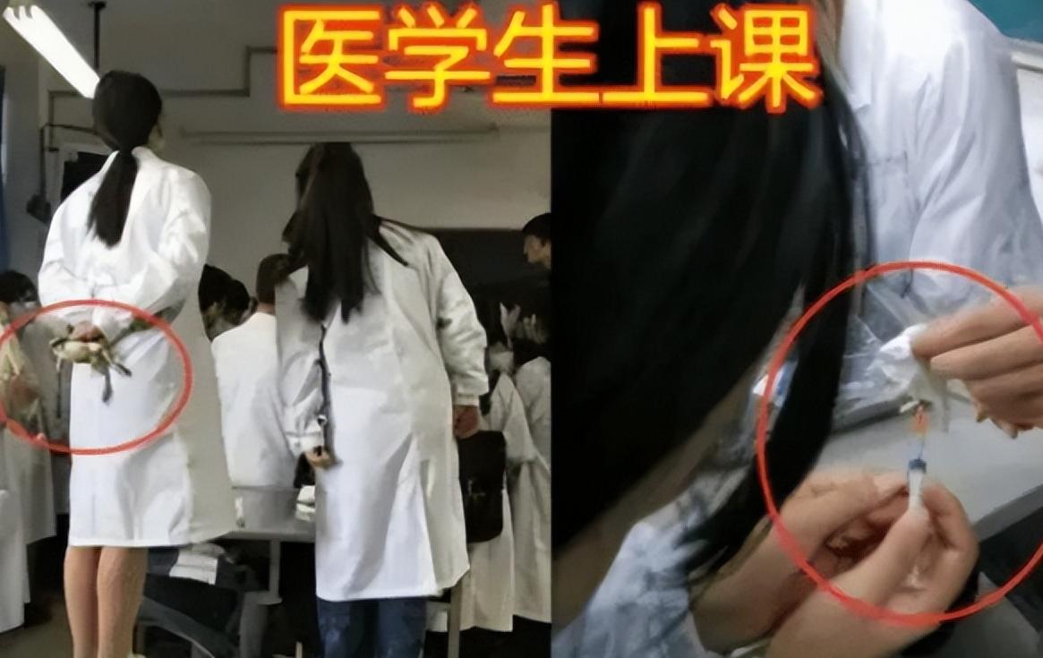 大学生后悔报考的专业，医学和师范出炉，榜首学生自嘲脑子进水