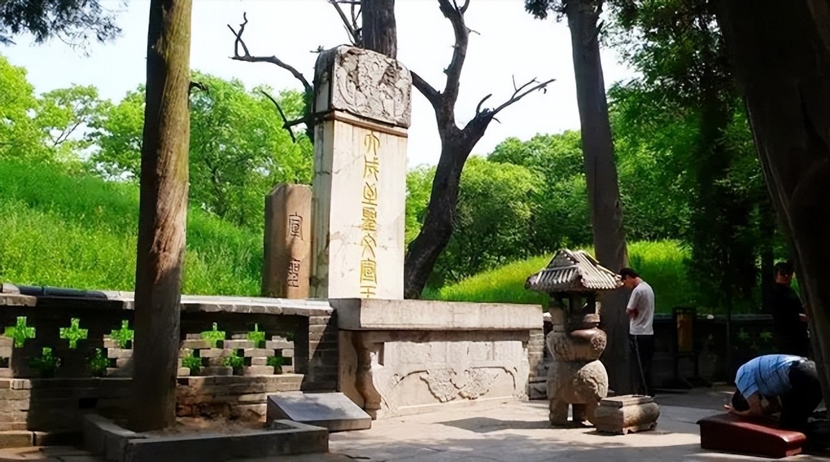 山东孔林为何能乌鸦远避，蛇类不侵？老祖宗的智慧让人叹服