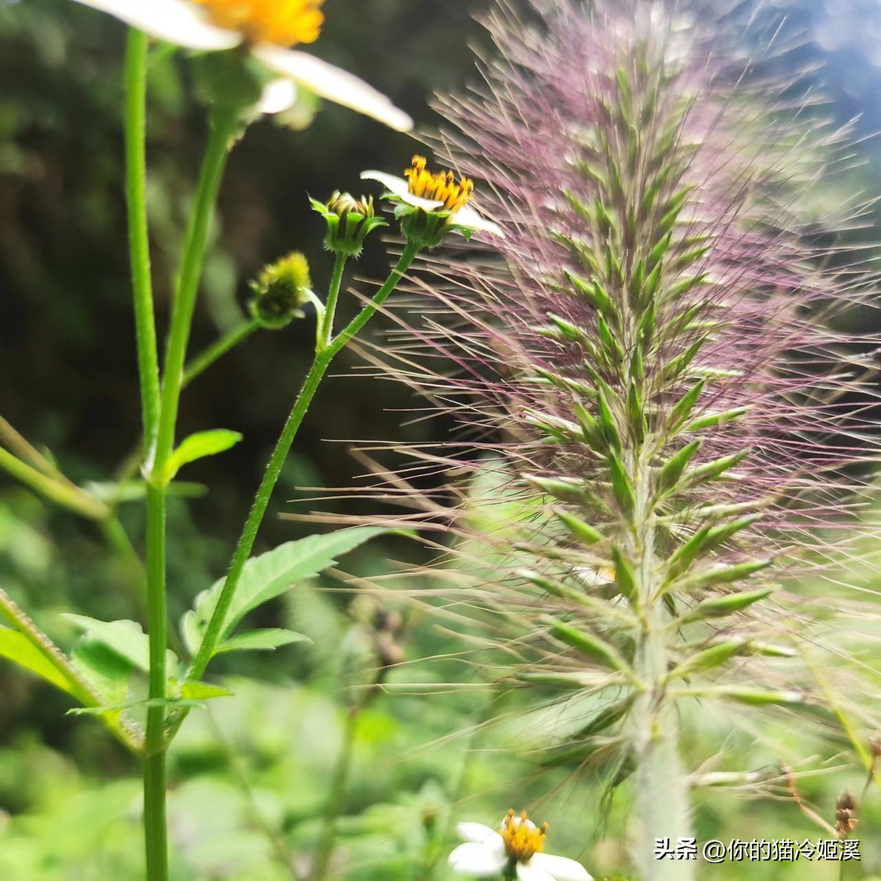 有点心酸难过的文案,总有一句扎心的文案戳到你的心