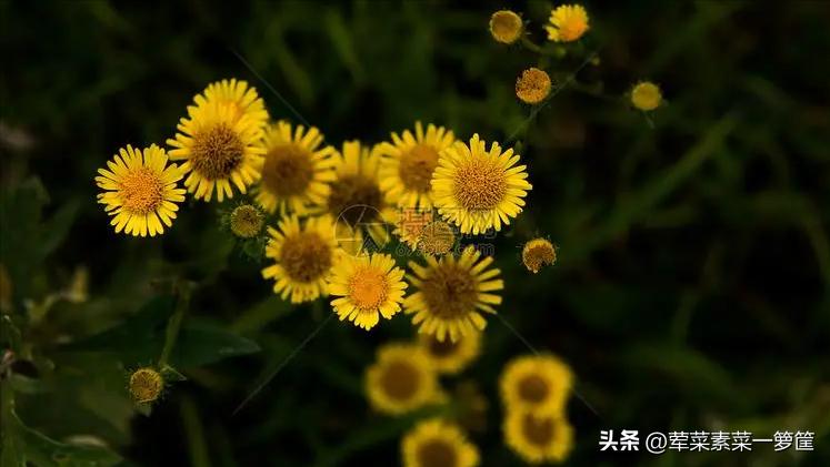 父亲中风无法自理,爸爸中风心里难受