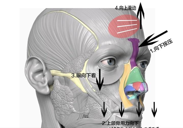 额头皱纹多了用什么方法去除最好,才22岁额头就有皱纹了男生怎么办