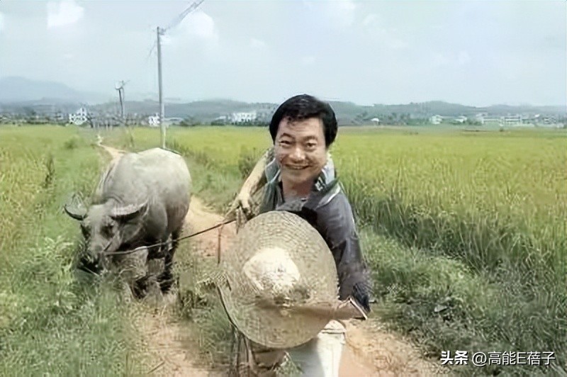 治好了我的精神内耗,我的阿勒泰治好了我的精神内耗