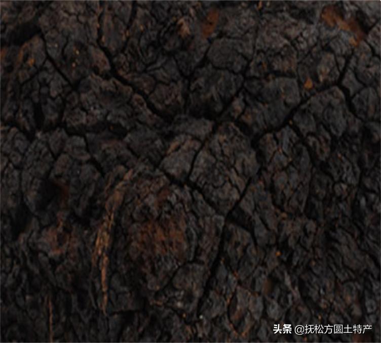 桦树茸用途,桦树茸多糖