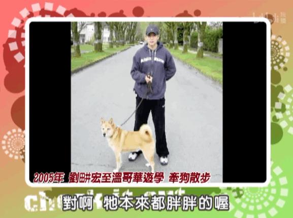 刘畊宏健身最近有多火,刘畊宏健身问题事件