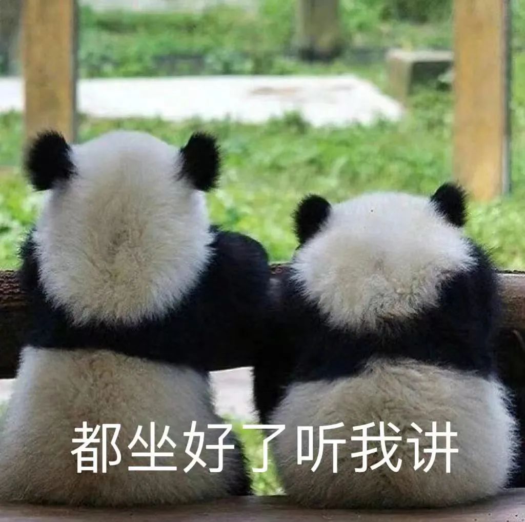 彩超是黑白的怎么看出来的,彩超为什么是黑白的不是彩色的