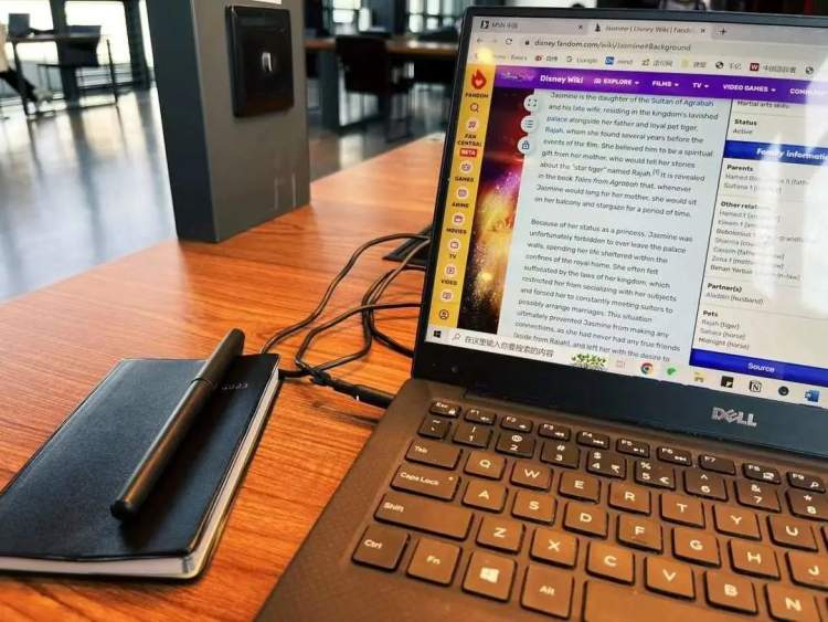 春天美好的心愿和祝福,一整个春天许下的心愿