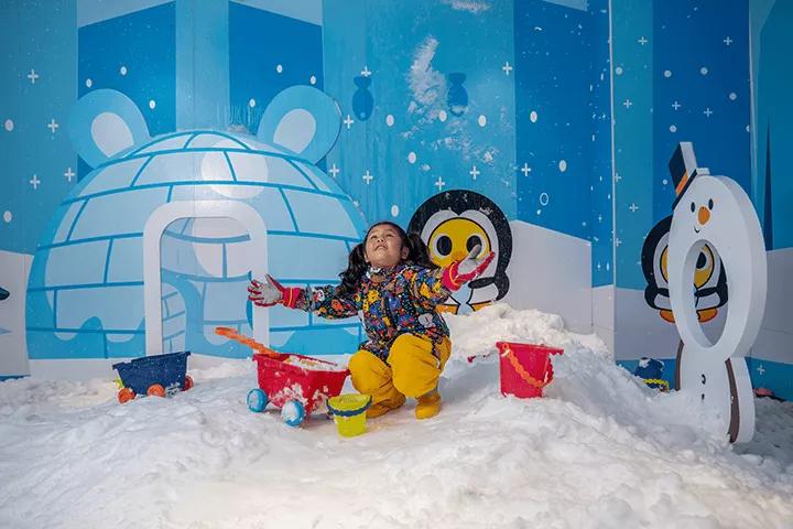 多元集团有限公司怎么打造,多元集团