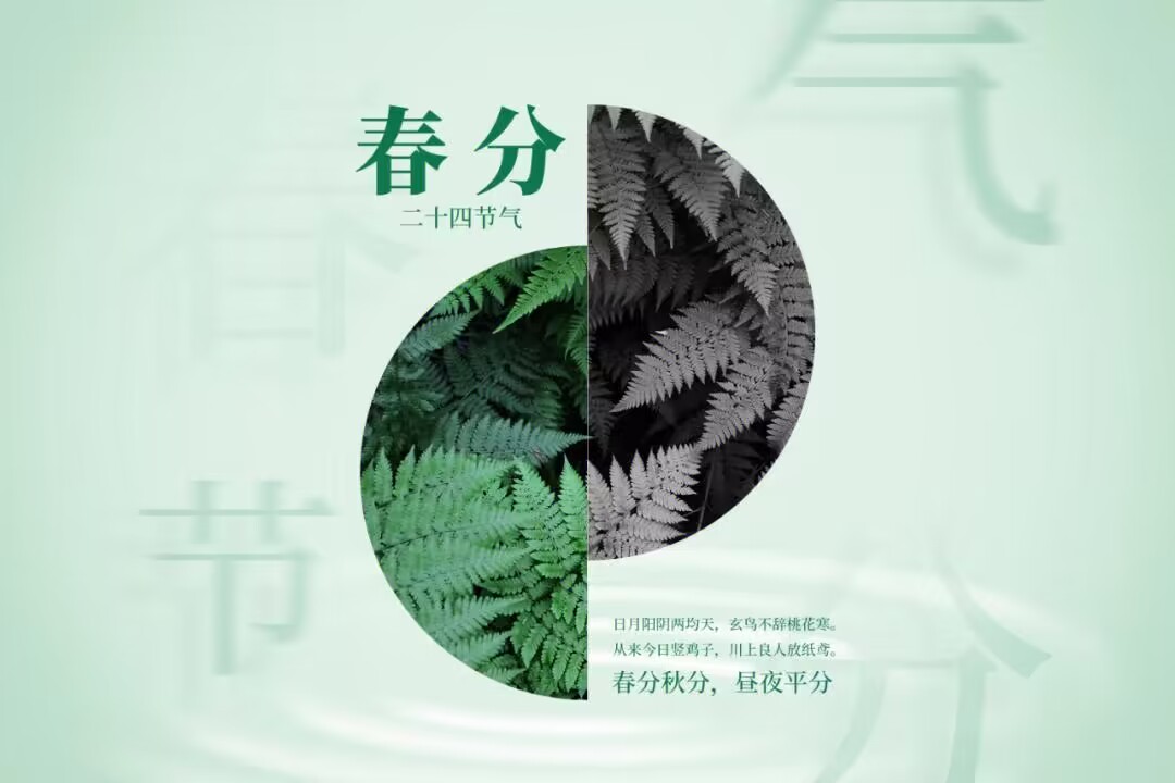 二十四节气春分动画,二十四节气春分歌词