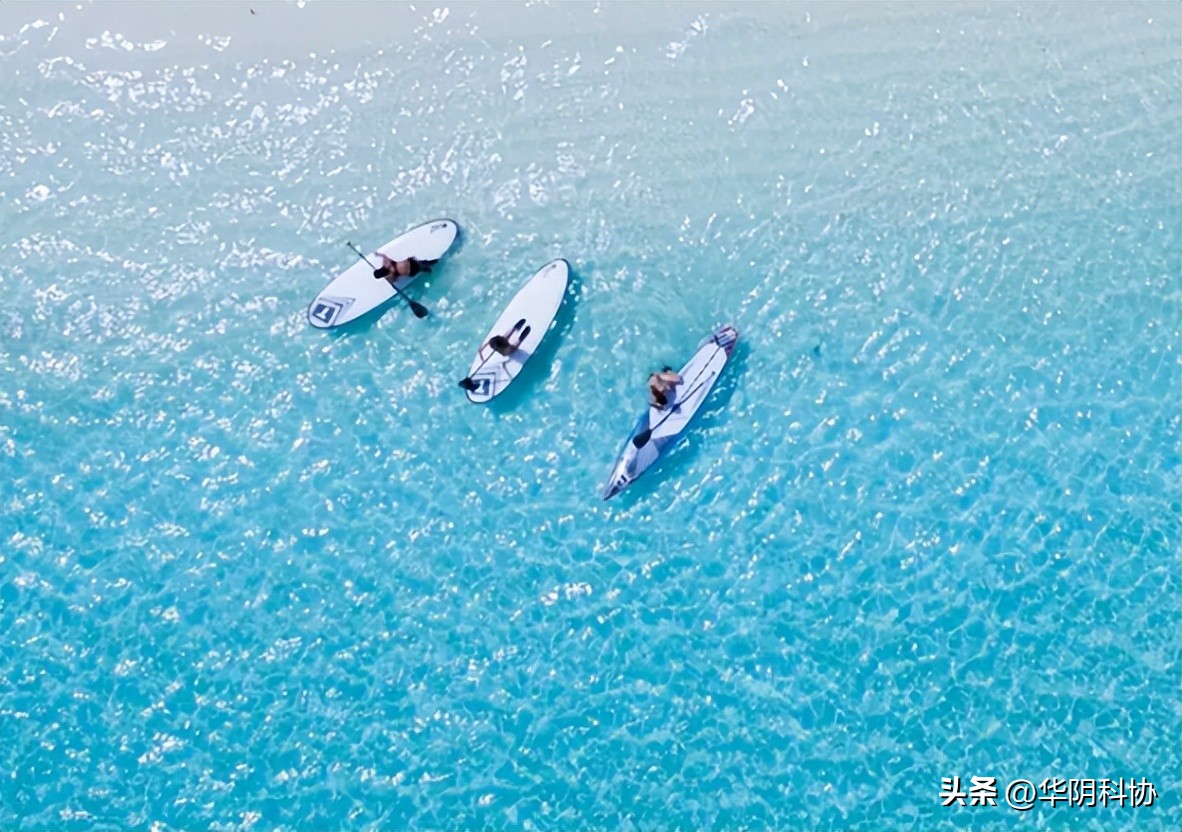 故事很短道理很深,故事很短道理很深值得收藏