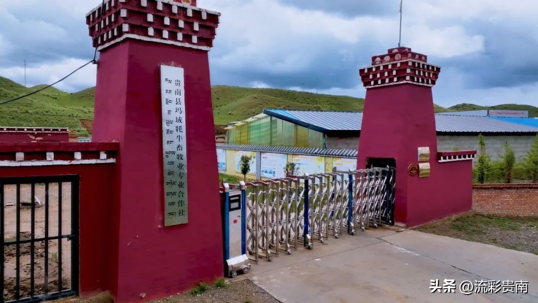 畜牧养殖助推乡村振兴工作,乡村振兴畜牧业