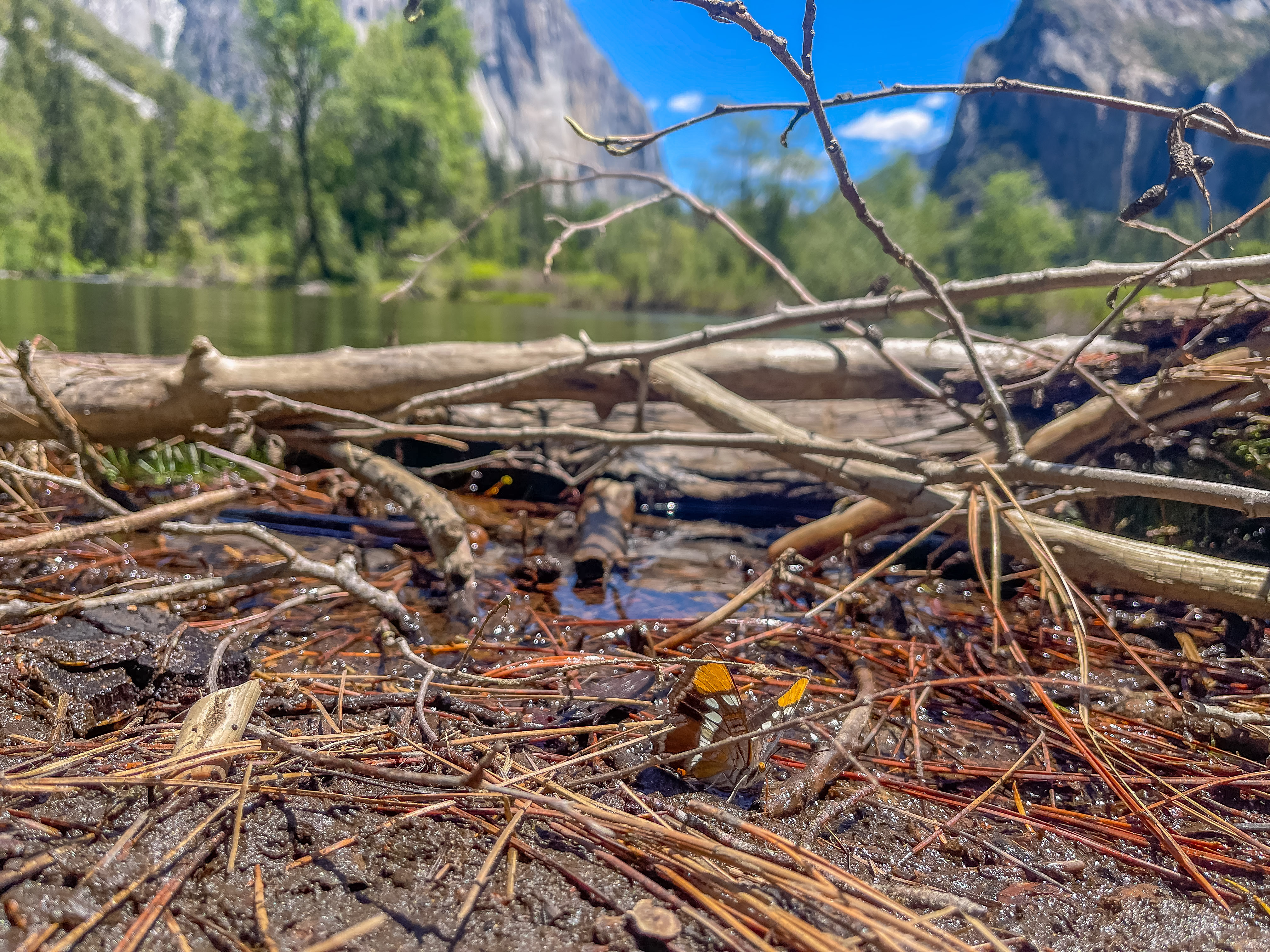 美国最美景点大全,美国优胜美地风景区攻略