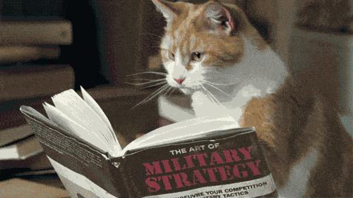 软件开发生命周期项目管理,软件的开发生命周期模型