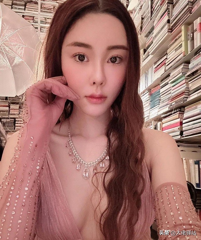 香港警方谈蔡天凤被害案,香港蔡天凤案最新进展