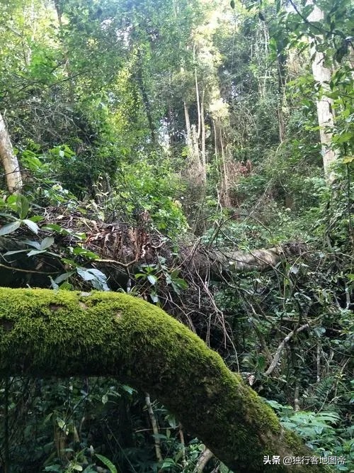 老挝的古代是哪个国家的,老挝古代是属于哪个国家