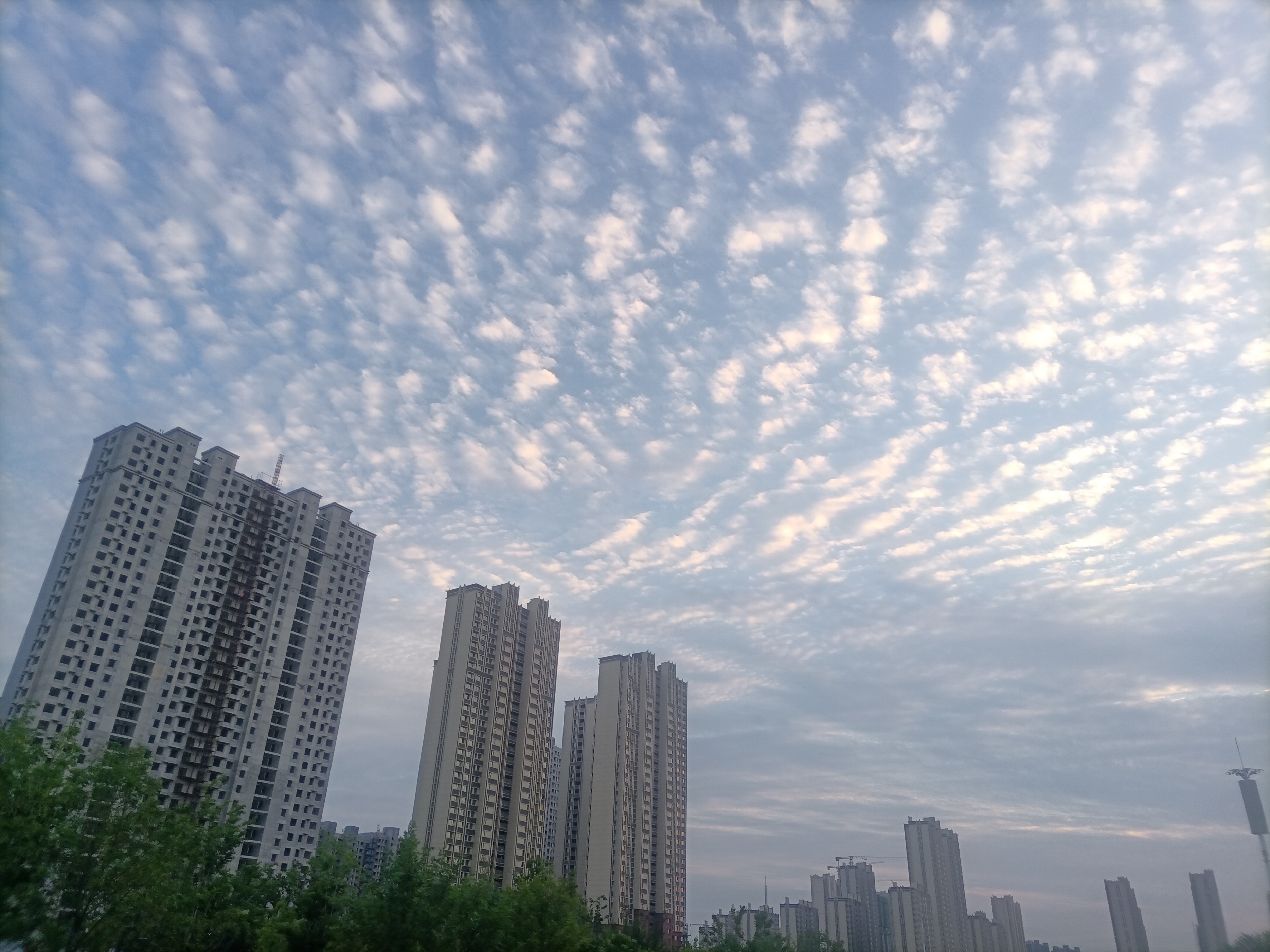 菏泽：你知道“天空鲤鱼斑，明天晒谷不用翻”的意思吗？