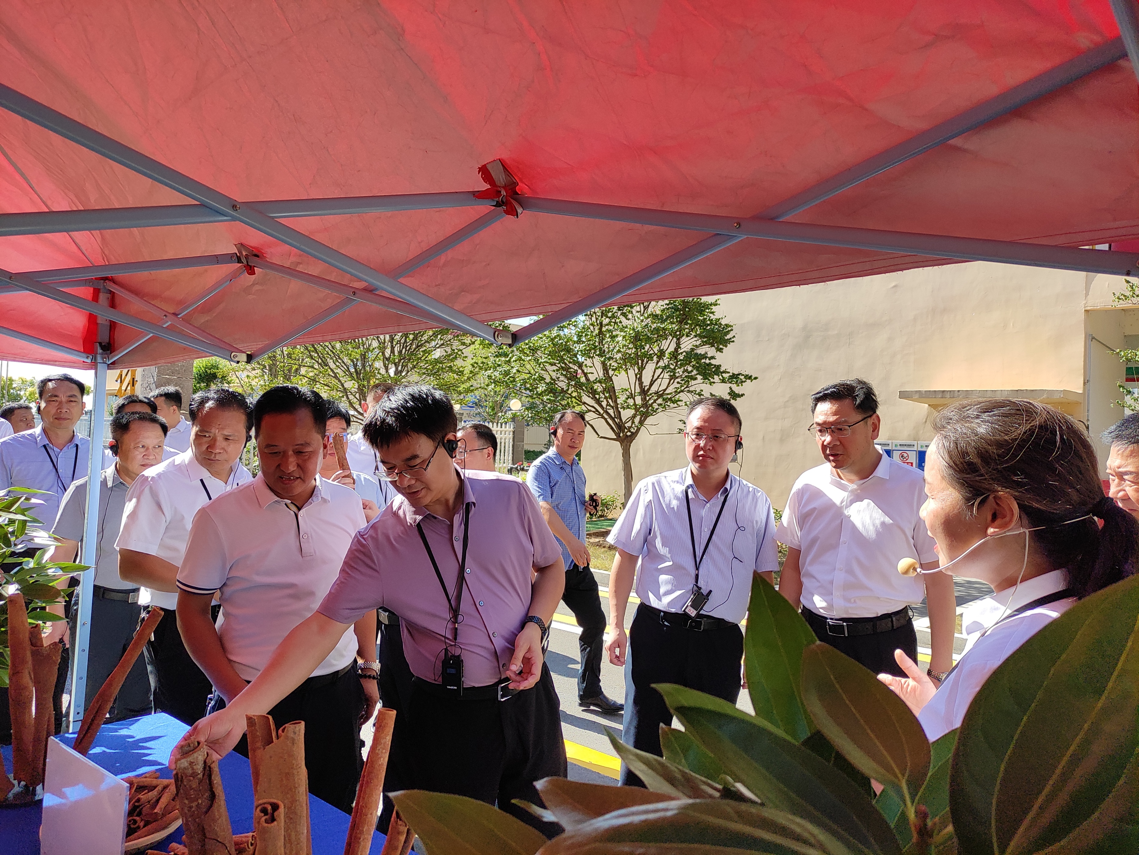 枣阳市赐祥医药科技有限公司产品,枣阳市赐祥医药科技有限公司地图