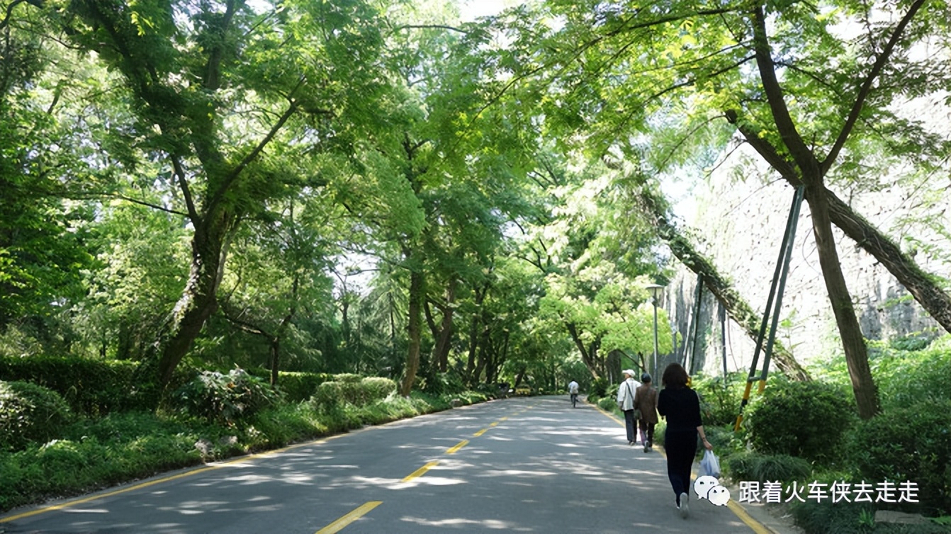 南京城墙下的琵琶湖,南京旅游先看城墙还是先看玄武湖