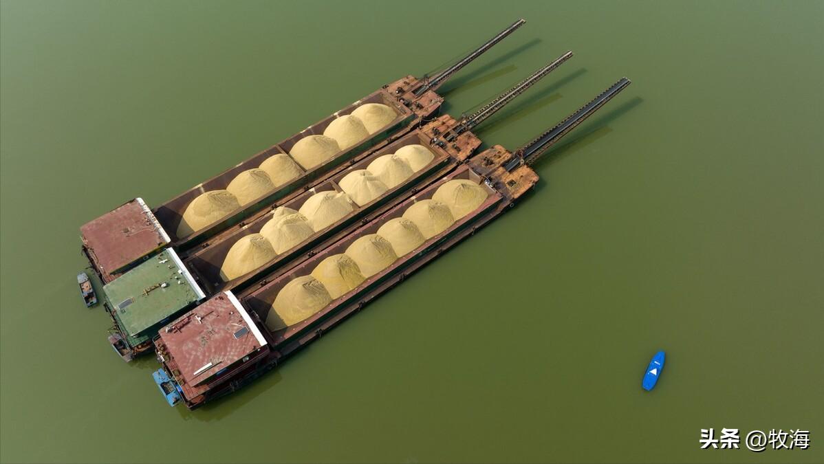 骆马湖菹草爆发原因,骆马湖采砂纪录片