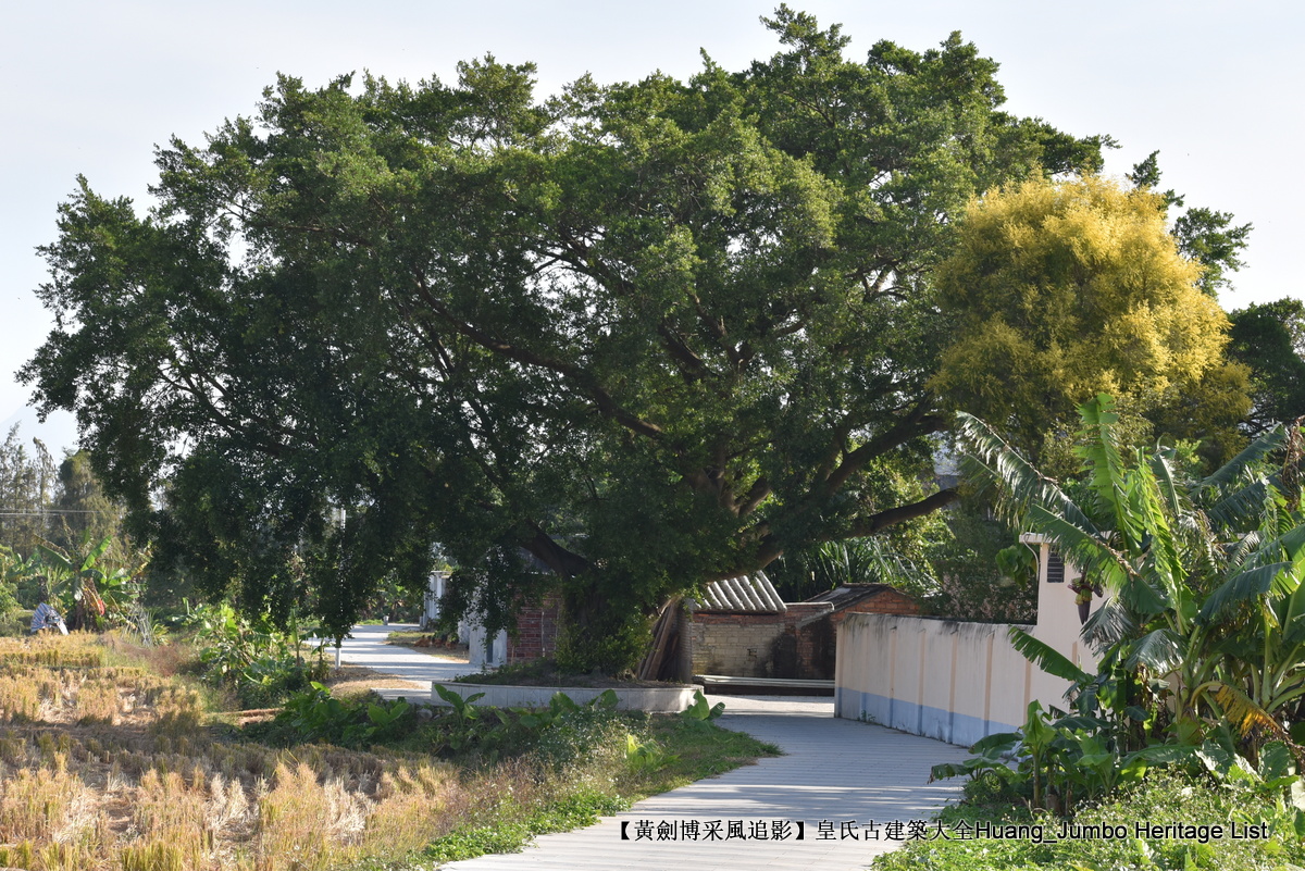 第3081回：南粤驿道梅埠蝶变，家国情怀纸短情长