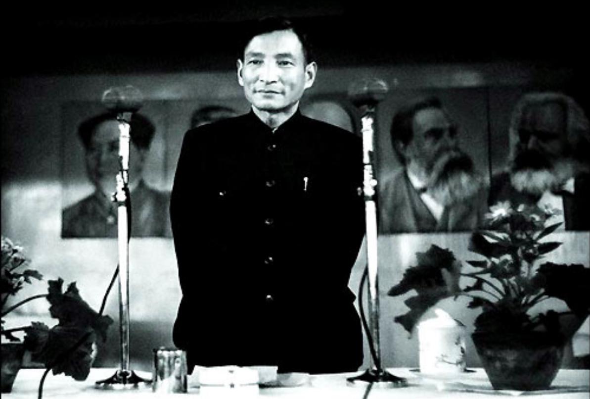 1954年，*先念李**向毛主席提了一个请求，毛主席：见面就给我出难题