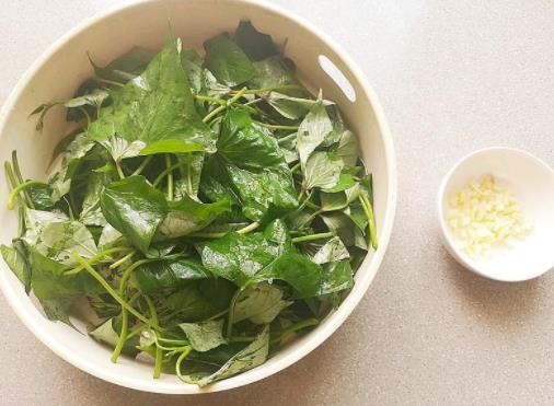 老年人常吃什么食物防止骨质疏松,老人骨质疏松多吃什么菜好