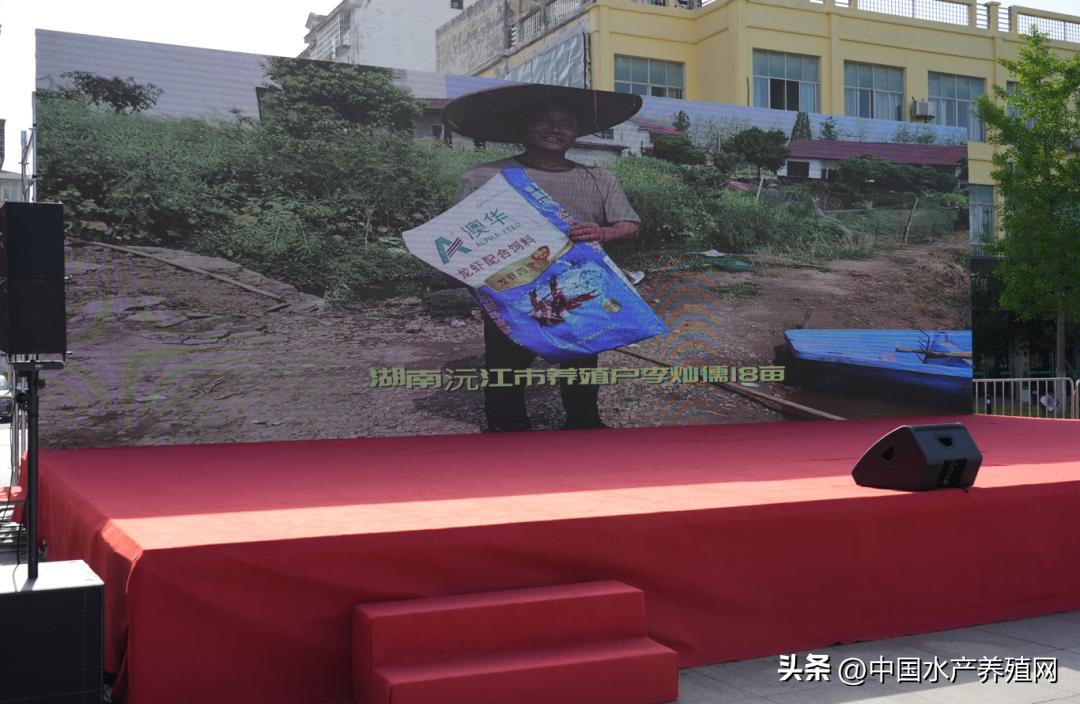 2023年南县小龙虾价格行情,南县小龙虾价格报价