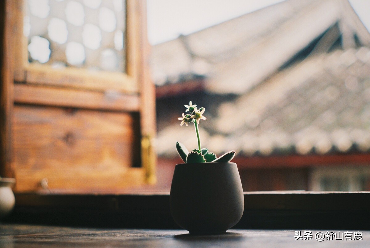 遇到克你的人怎么办,遇到命中克星怎么办