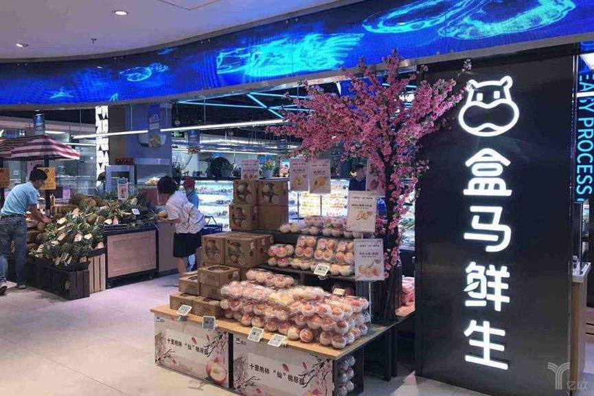 千亿集团破产案例,千亿支付巨头衰败原因