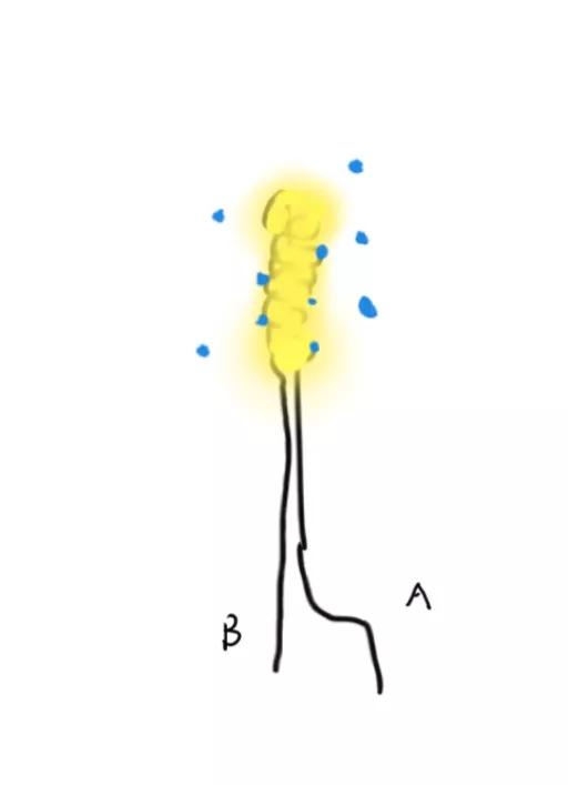 微波炉工作原理和危害,微波炉工作原理是怎样的
