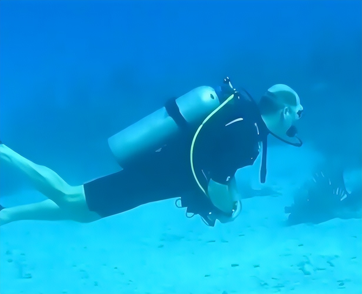 凯特隐藏技巧,凯特王妃的技能