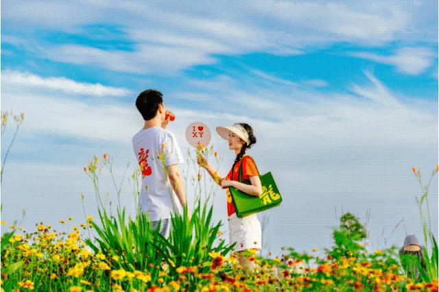 被问爆的家居单品,被问爆的软装摆件